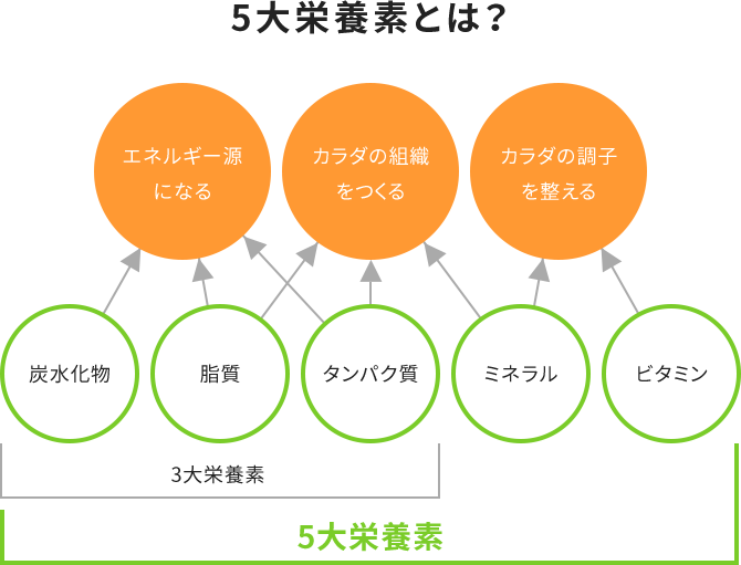 5大栄養素で不足しがちなビタミンとミネラルをサポート。